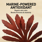 Skin Repair Serum (Red Algae)