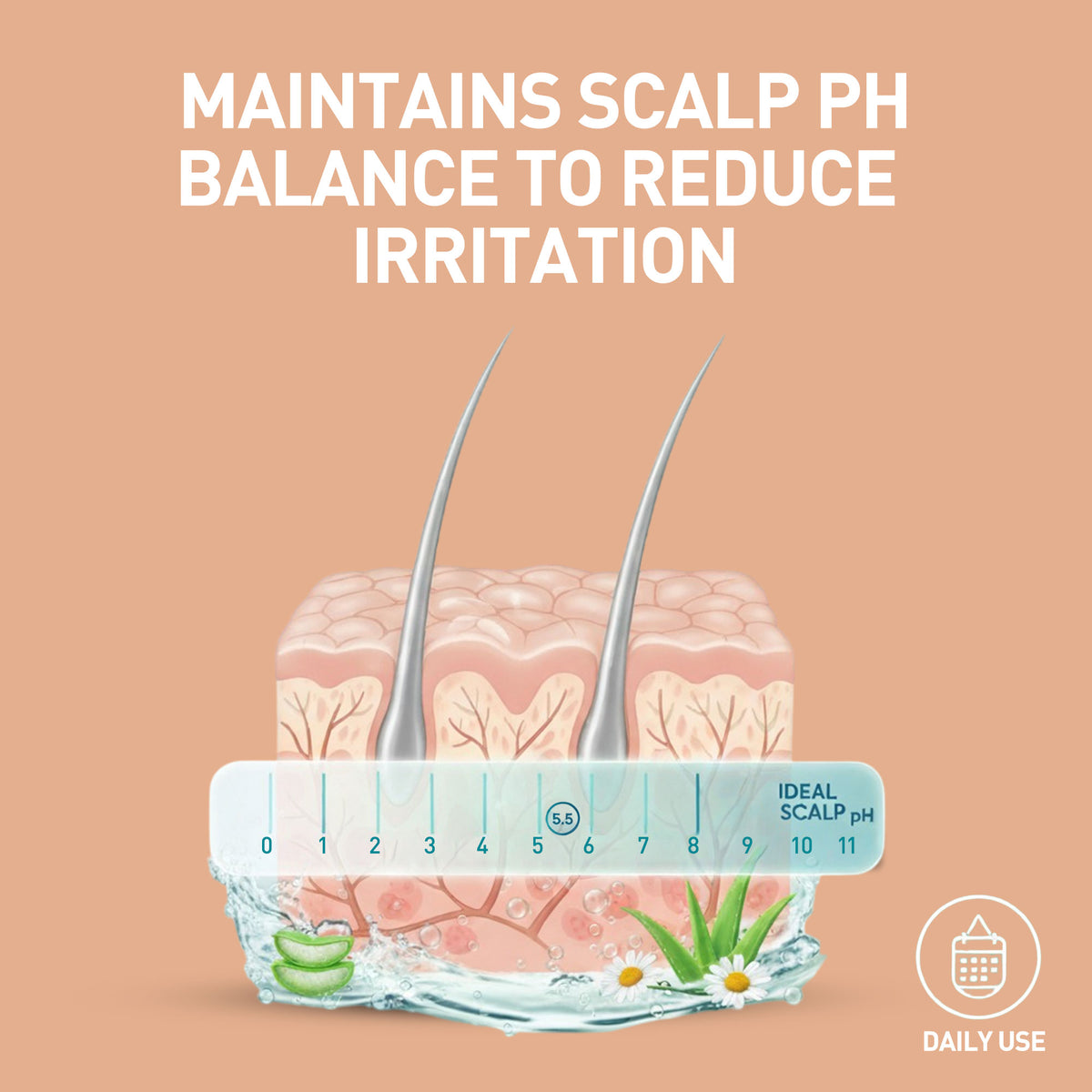 Illustration of scalp with hair and pH scale, text about maintaining scalp pH balance.