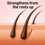Onion Seed Hair Shampoo