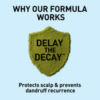 Green shield with 'DELAY THE DECAY' text on a light blue background