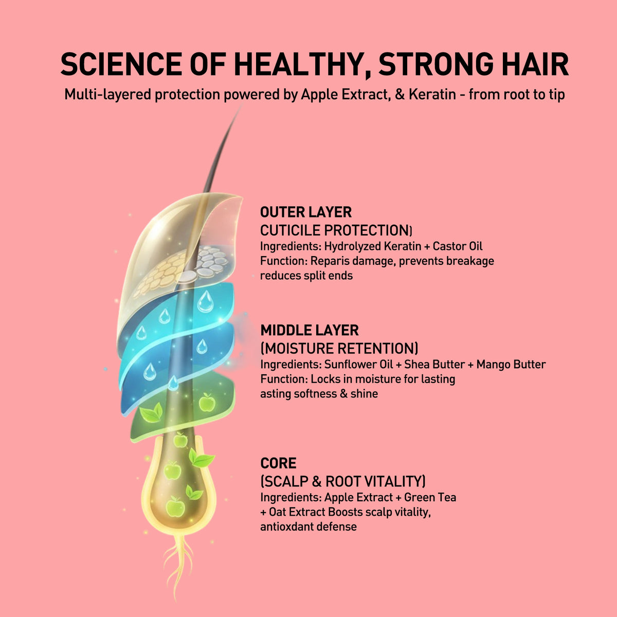 Diagram of hair structure with ingredients and functions on a pink background