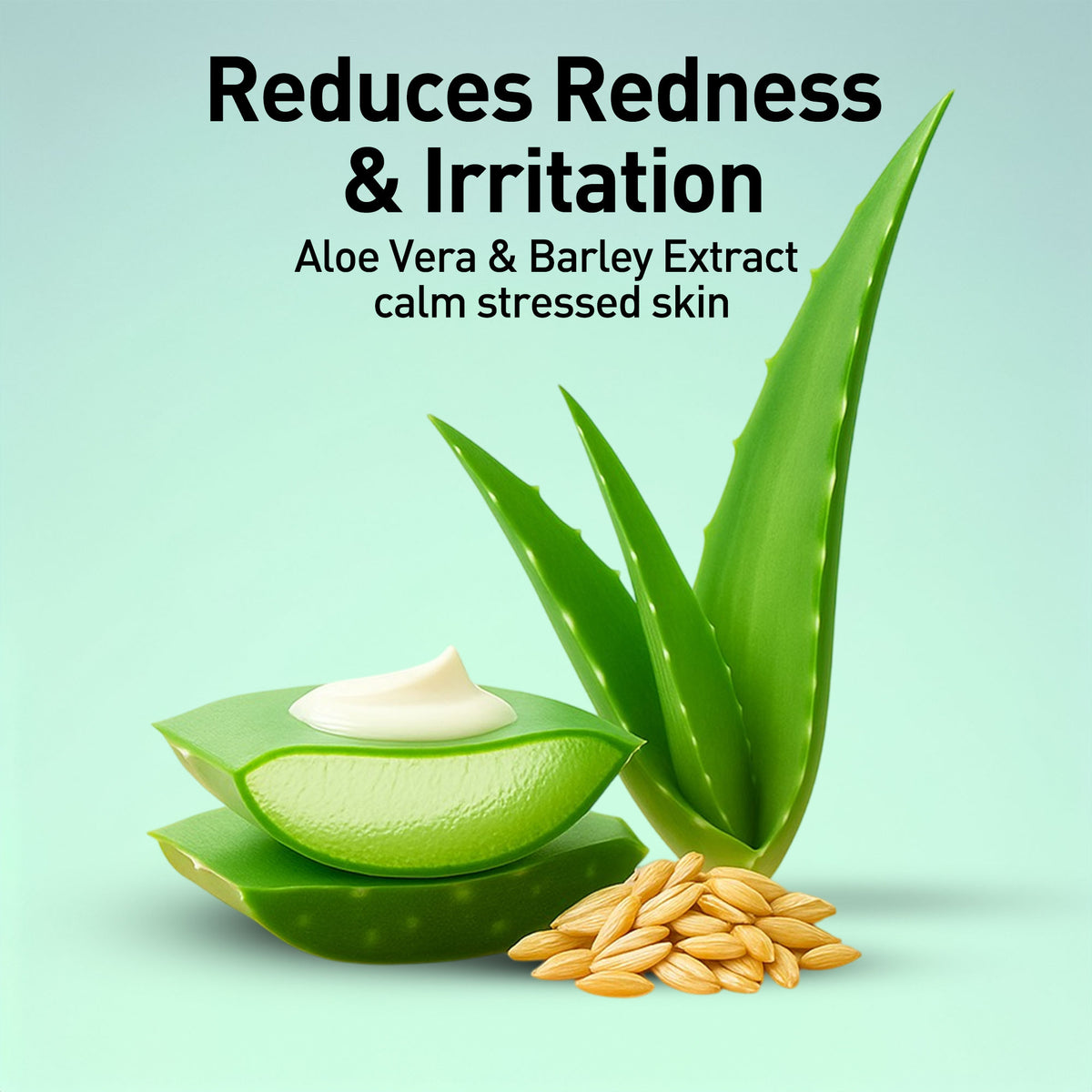 Aloe vera leaves, cream, and barley grains with text on a light green background