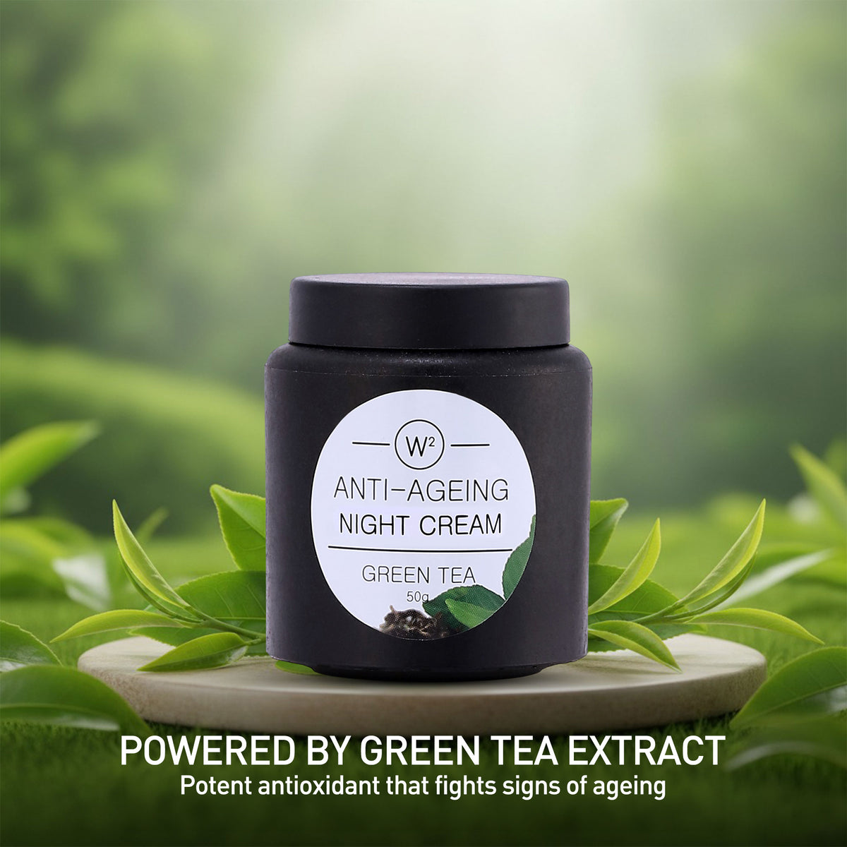 Anti-aging night cream jar with green tea leaves on a natural background