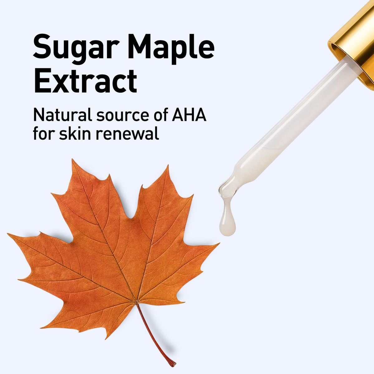 Anti Ageing & Anti Wrinkle Serum (Bilberry & Sugar Mapple)