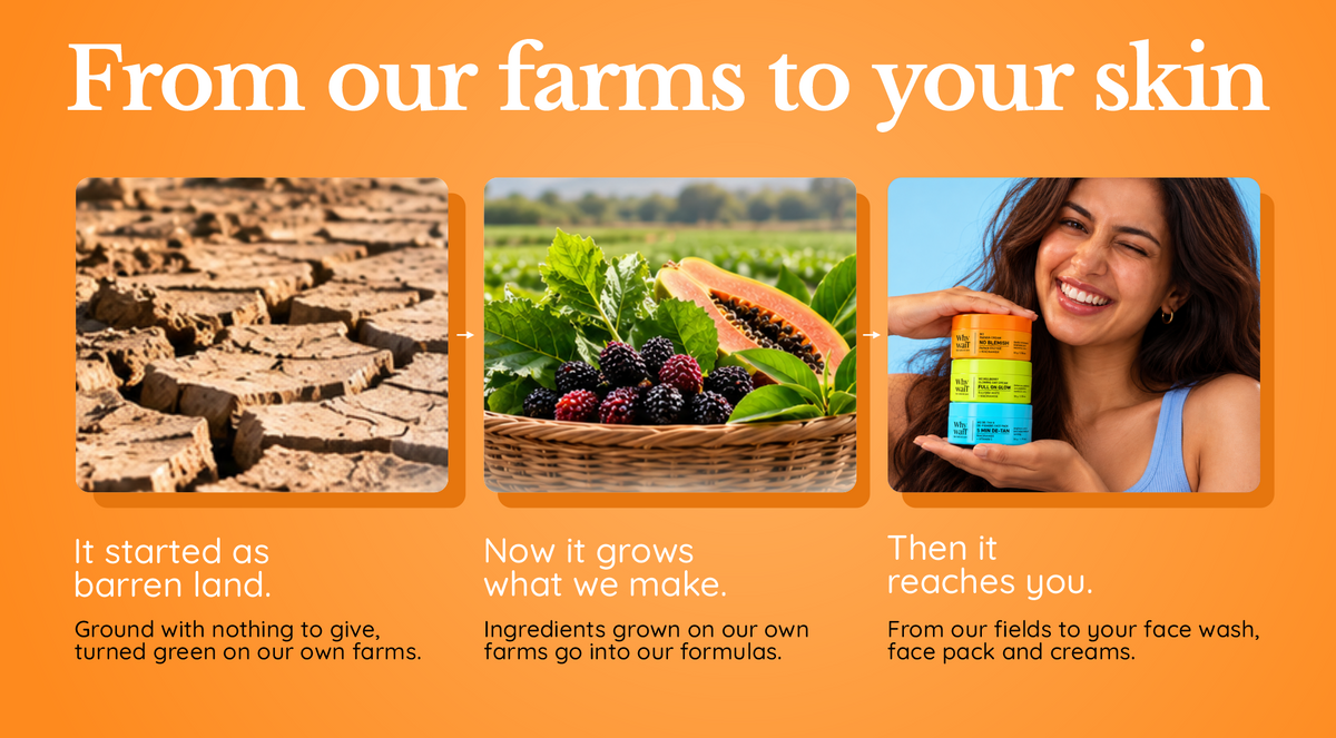 The journey: farm to jar