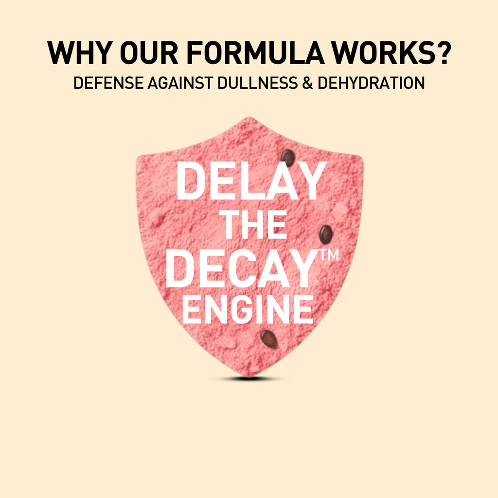 Pink shield with text 'DELAY THE DECAY ENGINE' on a beige background