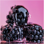 Mulberry