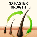 Onion Seed Hair Oil
