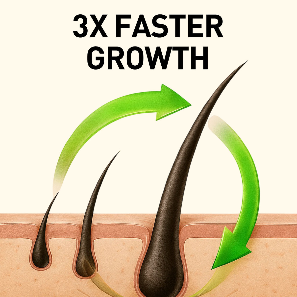 Onion Seed Hair Oil