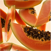 Papaya