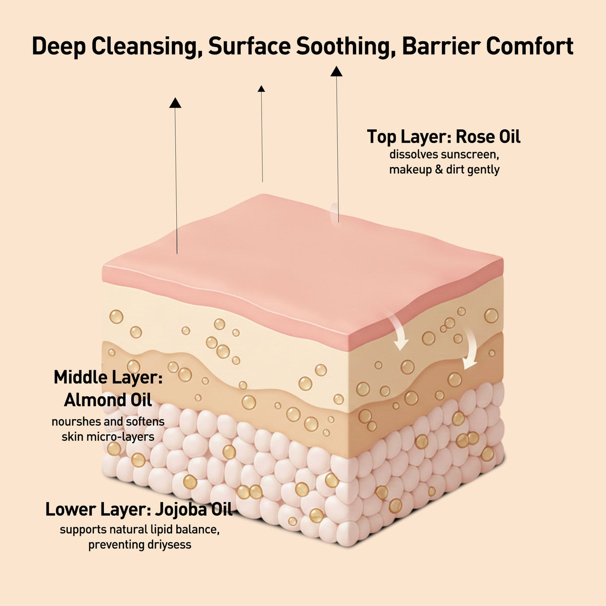 Diagram of skin layers with oils and their benefits on a beige background