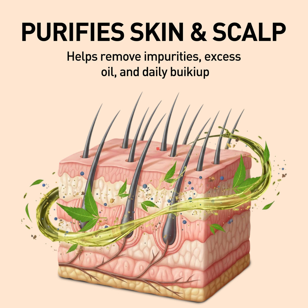 Diagram of skin layers with purifying elements and text on a beige background