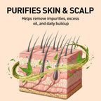 Diagram of skin layers with purifying elements and text on a beige background