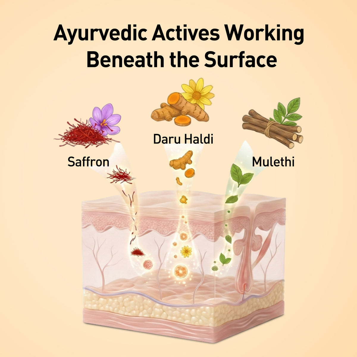 Illustration of Ayurvedic actives working beneath the surface with labeled ingredients on a beige background.