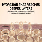 Illustration of skin layers with hydration droplets and text about gel penetration.