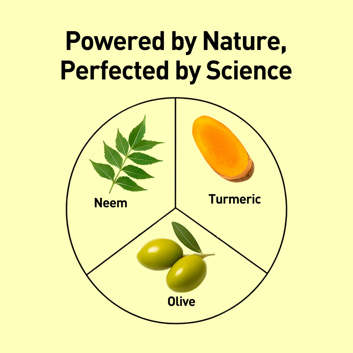 Neem & Turmeric Face Wash