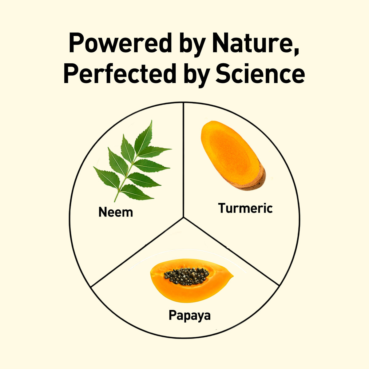 Diagram showing Neem, Turmeric, and Papaya with text 'Powered by Nature, Perfected by Science' on a beige background.