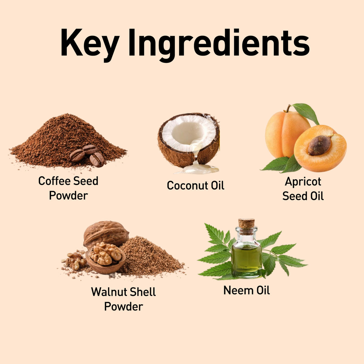 Key ingredients including coffee seed powder, coconut oil, apricot seed oil, walnut shell powder, and neem oil on a beige background.
