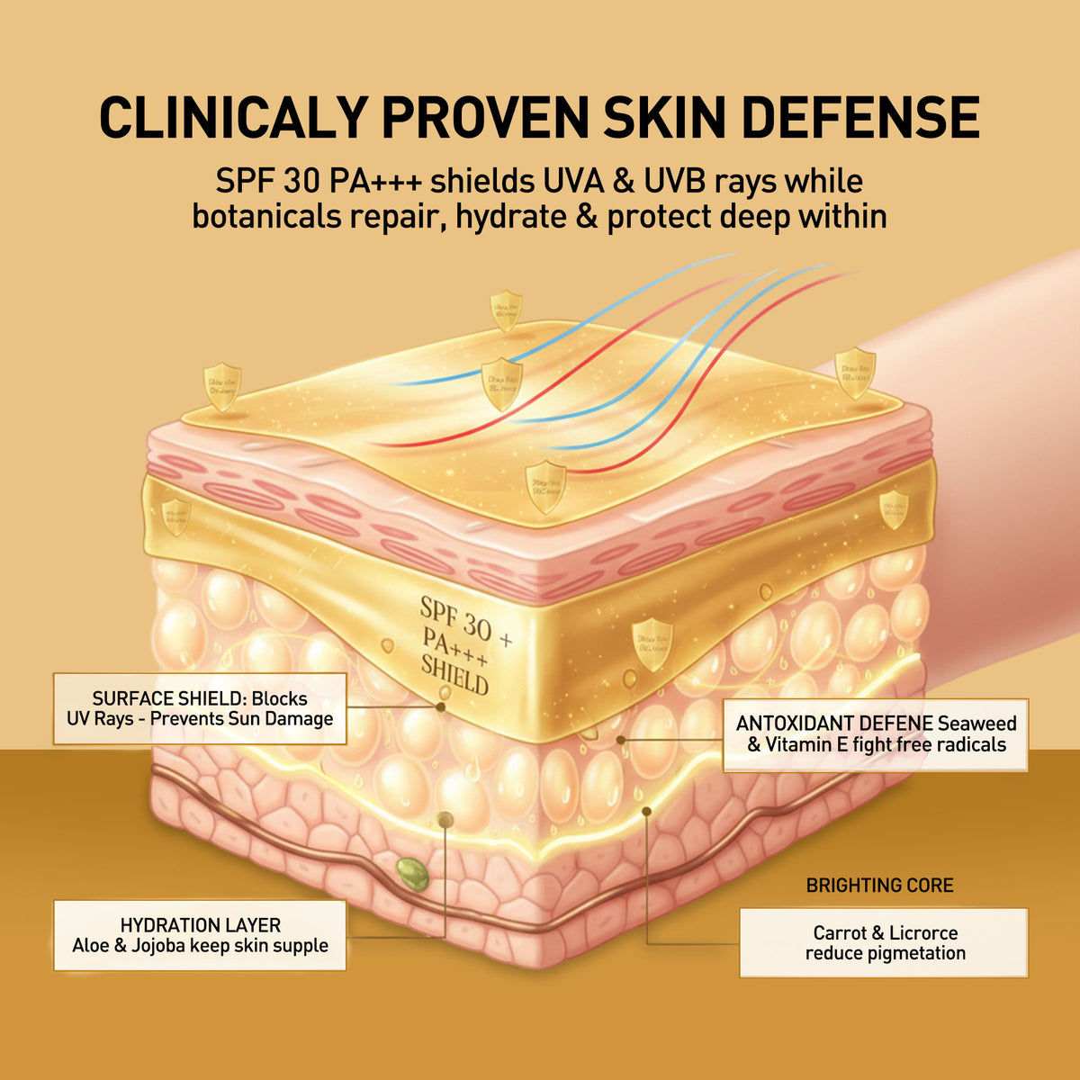 Diagram of skin layers with SPF 30 PA+++ protection, showing how it shields from UV rays and repairs skin.