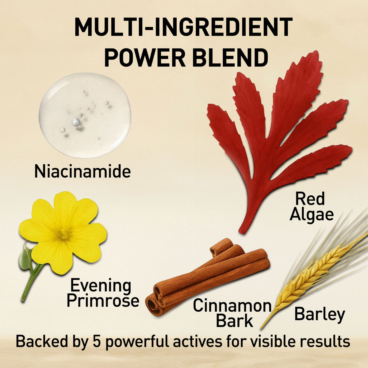 Skin Repair Serum (Red Algae)