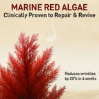 Skin Repair Serum (Red Algae)