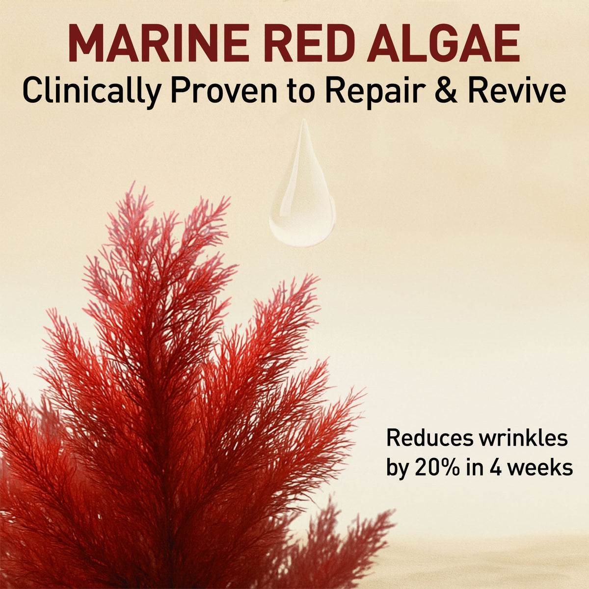 Skin Repair Serum (Red Algae)
