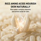 Rice grains with text about rice amino acids nourishing skin