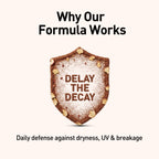 Shield-shaped logo with 'DELAY THE DECAY' text on a white background, featuring the text 'Why Our Formula Works'.